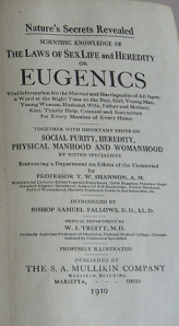 Picture 6